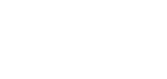 IV AKIHABARA